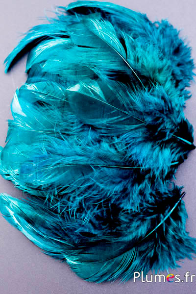 Gallina - 5-9 cm - petrolio